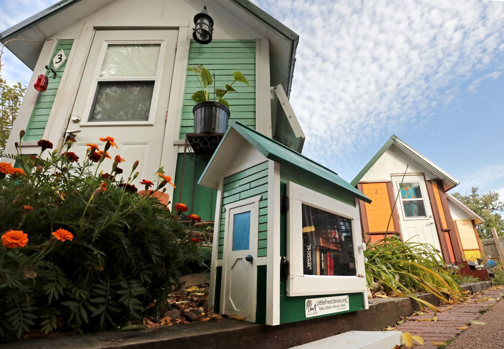 Little Free Library